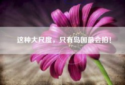 这种大尺度，只有岛国最会拍！