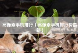 高像素手机排行（高像素手机排行榜最新）