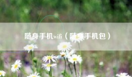 随身手机wifi（随身手机包）