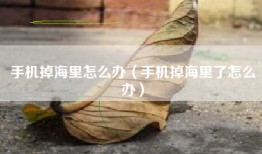 手机掉海里怎么办（手机掉海里了怎么办）