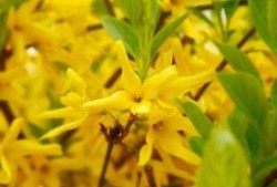 上汽集团转型阵痛：飞凡汽车放弃独立重回荣威，前三季度扣非后净利润直降超八成