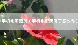 手机锁屏黑屏（手机锁屏黑屏了怎么办）