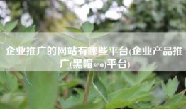 企业推广的网站有哪些平台(企业产品推广(黑帽seo)平台)