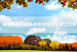海安市电子商务进农村综合示范工作实施方案