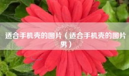 适合手机壳的图片（适合手机壳的图片男）