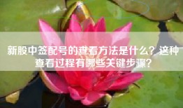 新股中签配号的查看方法是什么？这种查看过程有哪些关键步骤？
