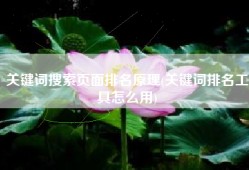 关键词搜索页面排名原理(关键词排名工具怎么用)