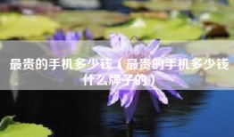 最贵的手机多少钱（最贵的手机多少钱什么牌子的）