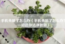 手机壳脏了怎么办（手机壳脏了怎么办？一招还你洁净如新）