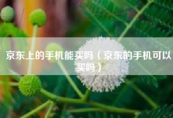 京东上的手机能买吗（京东的手机可以买吗）