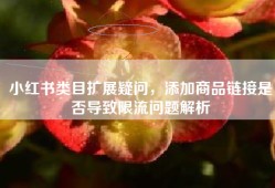小红书类目扩展疑问，添加商品链接是否导致限流问题解析