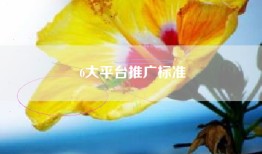 6大平台推广标准