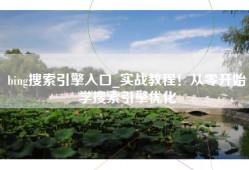 bing搜索引擎入口_实战教程！从零开始学搜索引擎优化