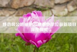 黟县级公路维护监理事业单位最新项目深度探究