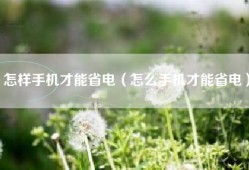 怎样手机才能省电（怎么手机才能省电）