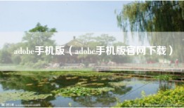adobe手机版（adobe手机版官网下载）