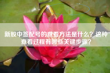 新股中签配号的查看方法是什么？这种查看过程有哪些关键步骤？