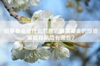 股票基金是什么意思？股票基金的投资策略和风险有哪些？