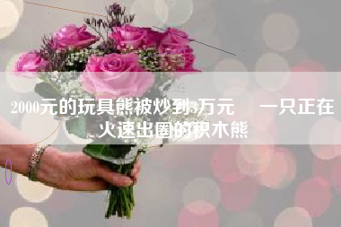 2000元的玩具熊被炒到3万元  一只正在火速出圈的积木熊