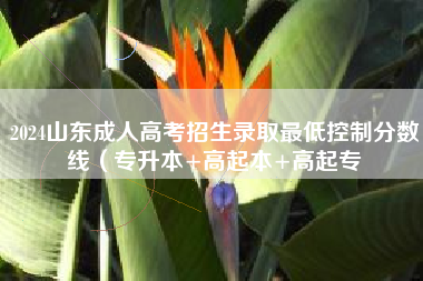 2024山东成人高考招生录取最低控制分数线（专升本+高起本+高起专