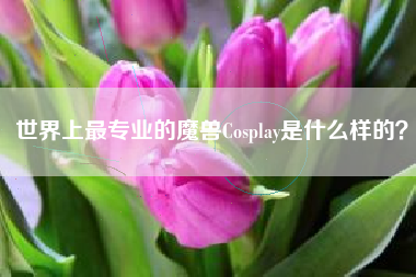 世界上最专业的魔兽Cosplay是什么样的？