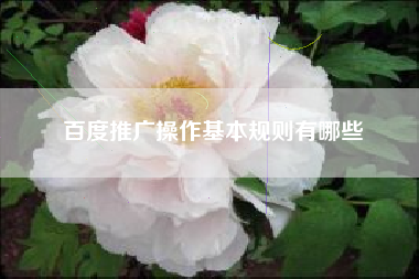 百度推广操作基本规则有哪些