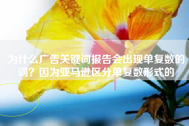 为什么广告关键词报告会出现单复数的词？因为亚马逊区分单复数形式的