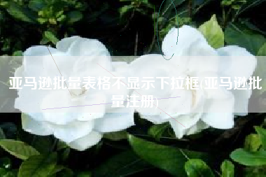 亚马逊批量表格不显示下拉框(亚马逊批量注册)