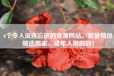 6个令人流连忘返的资源网站，都是精挑细选而来，成年人用的到！