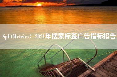 SplitMetrics：2021年搜索标签广告指标报告
