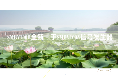 BV100B全新二手BV100A信号发生器