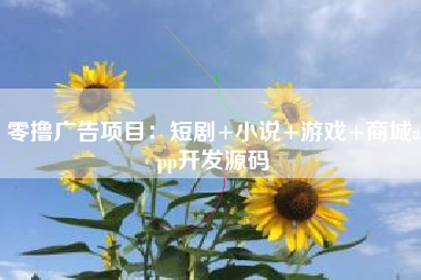 零撸广告项目：短剧+小说+游戏+商城app开发源码