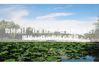如何通过“权重查询”提升网站排名？揭秘SEO优化的核心策略