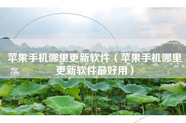 苹果手机哪里更新软件（苹果手机哪里更新软件最好用）