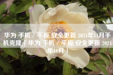 华为 手机／平板 安全更新 2024年11月手机克隆「华为 手机／平板 安全更新 2024年11月」
