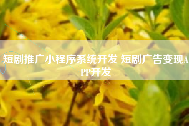 短剧推广小程序系统开发 短剧广告变现APP开发