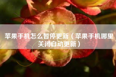 苹果手机怎么暂停更新（苹果手机哪里关闭自动更新）