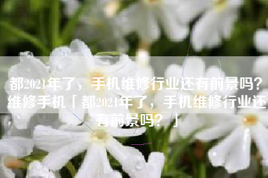都2021年了，手机维修行业还有前景吗？维修手机「都2021年了，手机维修行业还有前景吗？」