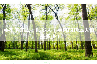 手机的功率一般多大（手机的功率大概是多少）