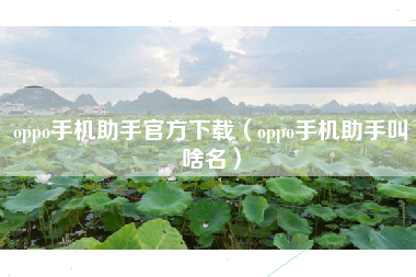 oppo手机助手官方下载（oppo手机助手叫啥名）
