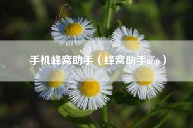 手机蜂窝助手（蜂窝助手app）