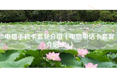 电信手机卡套餐介绍（电信电话卡套餐介绍2020）