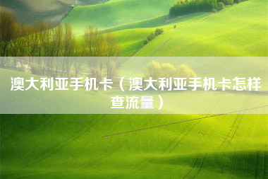 澳大利亚手机卡（澳大利亚手机卡怎样查流量）