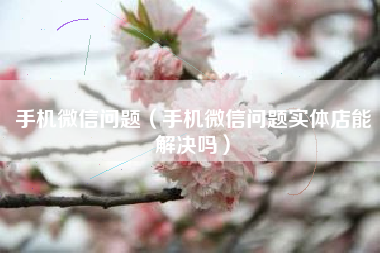 手机微信问题（手机微信问题实体店能解决吗）