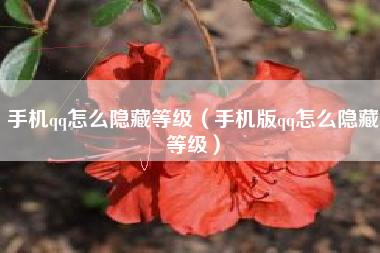 手机qq怎么隐藏等级（手机版qq怎么隐藏等级）