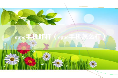 oppo手机咋样（oppo手机怎么样）