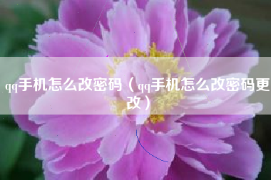 qq手机怎么改密码（qq手机怎么改密码更改）