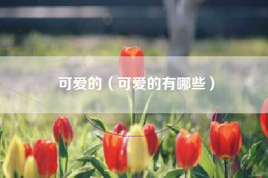 可爱的（可爱的有哪些）
