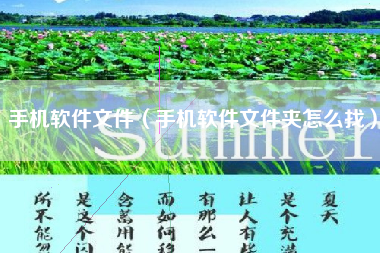 手机软件文件（手机软件文件夹怎么找）