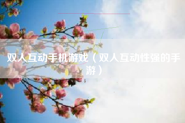双人互动手机游戏（双人互动性强的手游）